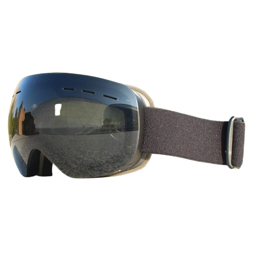 Large Spherical Ski Goggles