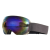 Large Spherical Ski Goggles