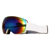 Large Spherical Ski Goggles